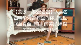 极品骚婊人妻『性感小野猫』✅网吧露出 包间勾引小哥哥，最后挨操，开档黑丝极品身材御姐 征服感拉满