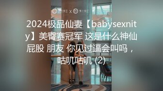 天美傳媒 TMBC017 外送女賴著不走 林思妤