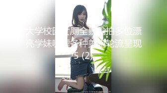 【新片速遞】2024年，高价良家云盘流出，【beauty】(下)，极品反差女友，白富美女神，做爱视频上下皆粉 (1)