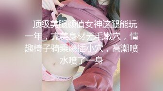 自家小母狗4