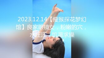 高级注册会计师老婆的发情日常