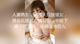 无码人妻免费一区二区三区