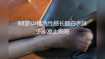 新鲜社畜 新人入职