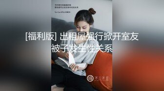 SWAG 圣诞小精灵专门吸取高学历好基因的精子 Minicat