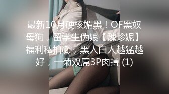 SWAG 工作中偷偷和小伙伴淫乱，满足痒痒的小穴 Ninachi