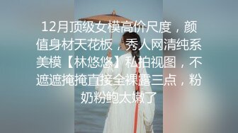 12月顶级女模高价尺度，颜值身材天花板，秀人网清纯系美模【林悠悠】私拍视图，不遮遮掩掩直接全裸露三点，粉奶粉鲍太嫩了