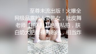 涩会传媒  SH004 《我的嫂子是妓女》漂亮嫂子无法忘 嫖娼意外从天降 新人女优 韩梦嫣