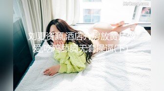  齐逼短裙美腿丝袜 极品少妇