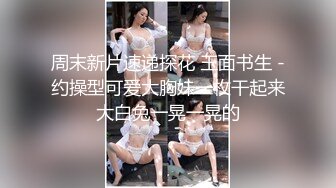 推特网红深圳性感美人儿大骚货Little Rose 名副其实的贱母狗视图[111P+14V/90M]