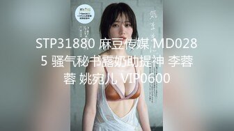 MXJ-0002-2-负债少女养成记EP2.亲兄兽欲强取豪乳-沙月芽衣