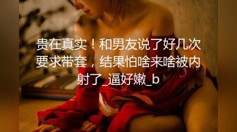 【皇冠小雅 (13)