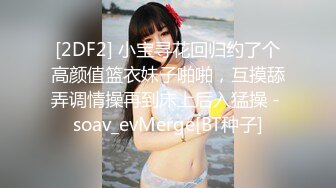 [2DF2] 小宝寻花回归约了个高颜值篮衣妹子啪啪，互摸舔弄调情操再到床上后入猛操 - soav_evMerge[BT种子]