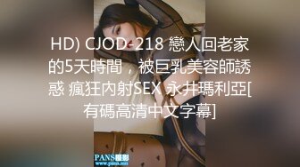 BDSM调教音乐推荐王竹子的私人调教音乐表单分享