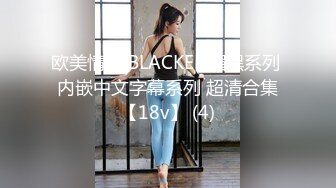 欧美情色 BLACKED媚黑系列 内嵌中文字幕系列 超清合集【18v】 (4)