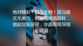 【影片名稱】：[2DF2]震动棒自慰 引得男优来爆菊内射 - [BT种子]